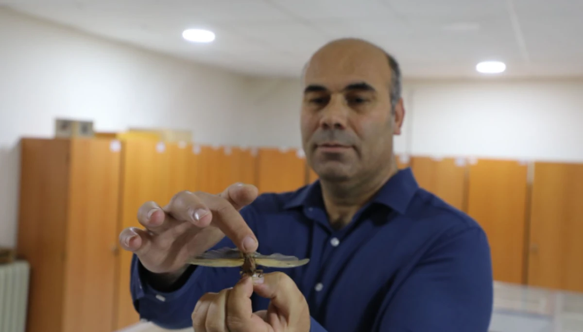 30 Bin B&ouml;cek &Ouml;rneği ISUB&Uuml;&rsquo;de Sergileniyor