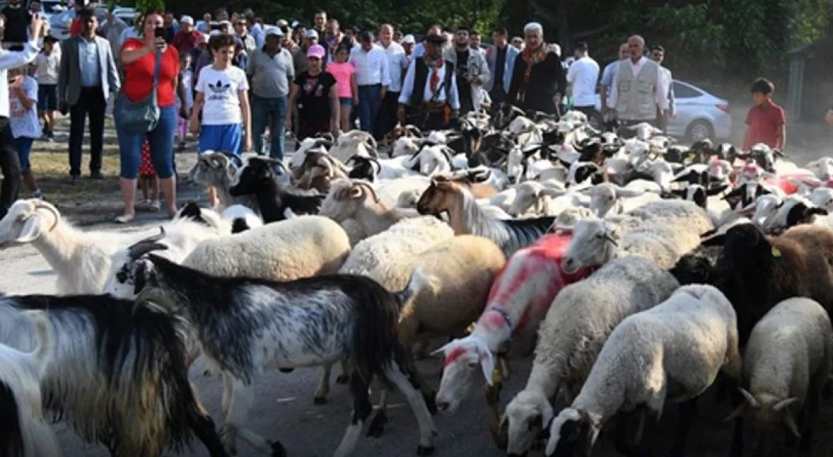 400 Yıllık Gelenek Bu Yıl Da Devam Ediyor