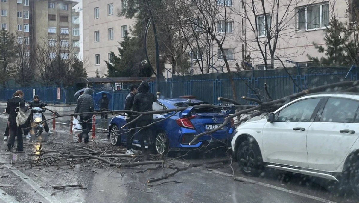 Ağa&ccedil; dalları otomobilin &uuml;st&uuml;ne devrildi