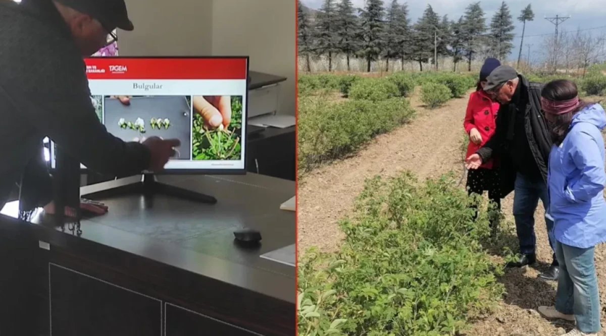 ALMAN U&Ccedil;UCU YAĞ DEVİNDEN ISPARTA&rsquo;YA "G&Uuml;L" &Ccedil;IKARMASI!