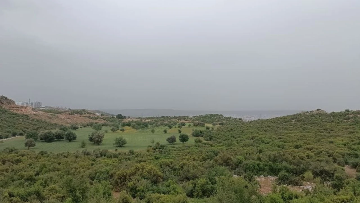 Antalya tarımında 