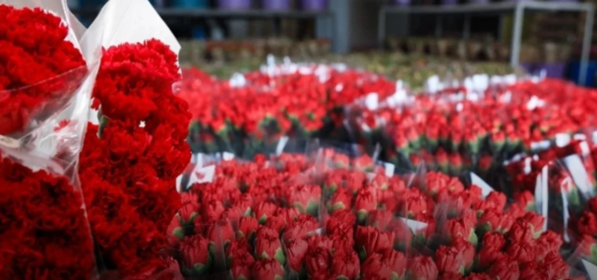 Antalya ve Isparta üretimde lider: Çiçek ihracatı rekora koşuyor