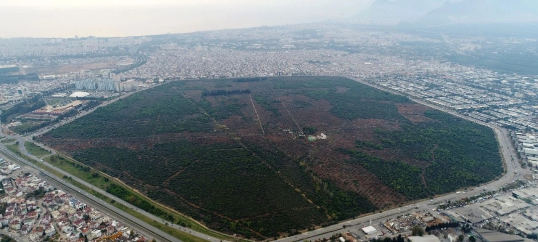 Antalya'nın binlerce dönümlük vahası: Zeytinpark... Vali Şahin'den imar değişikliğine yeşil ışık