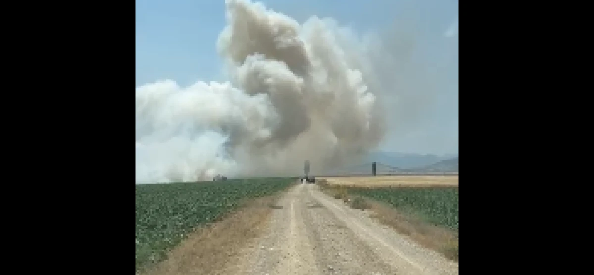 Atabey Onaç Mahallesi’nde Tarla Yangını