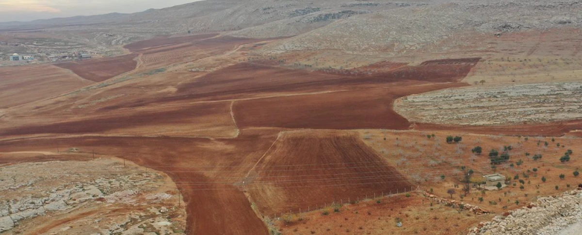 Atıl taşlık araziler tarıma kazandırılıyor