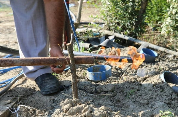 Bahçesinde Su Ararken Gaz Buldu