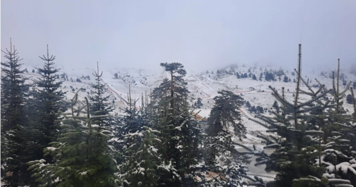 Bolu'da kar yağışı