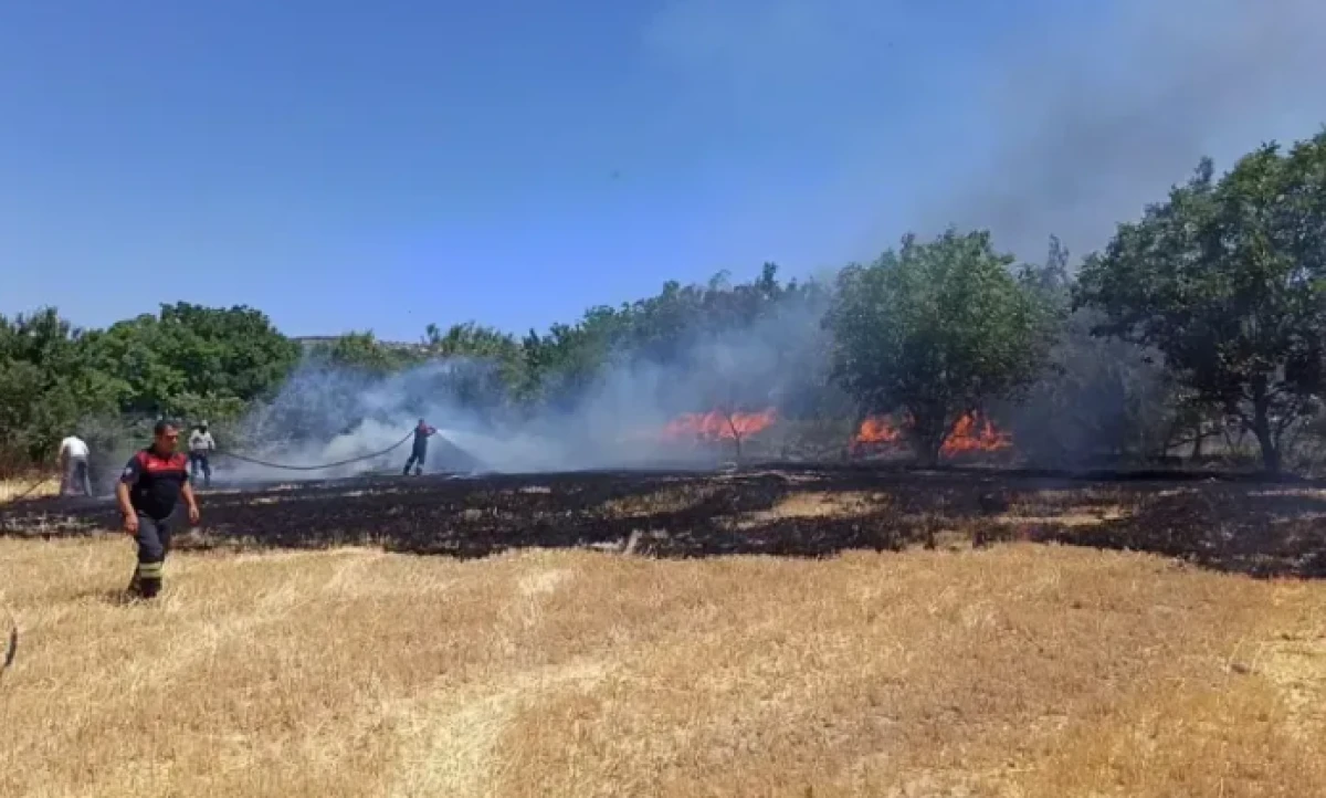Burdur’da 4 Dönüm Arazi Yandı