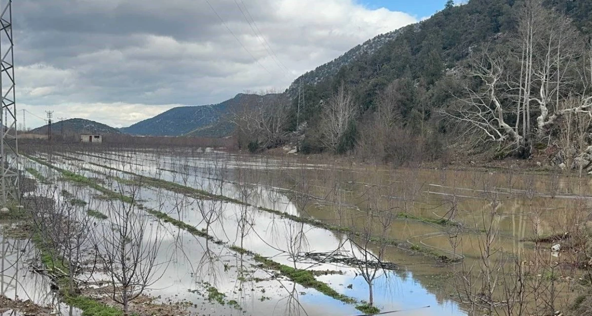 Eğirdir&rsquo;de yağış bereketi: Bah&ccedil;eler g&ouml;le &ccedil;evirdi