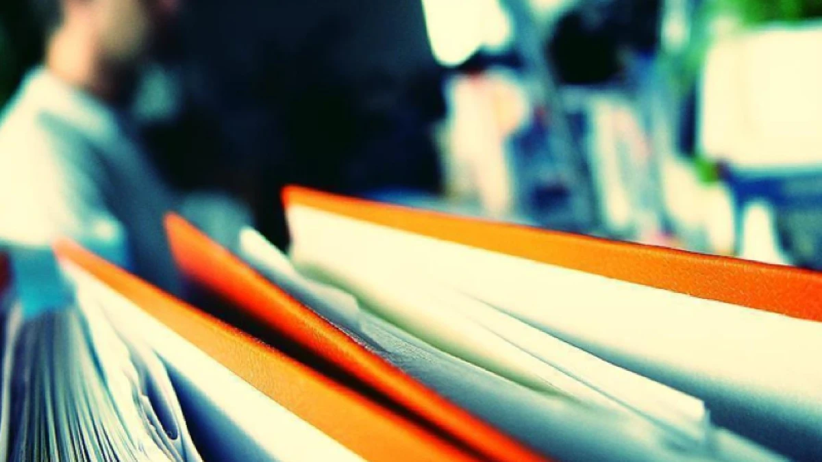 Faili me&ccedil;hulde yeni d&ouml;nem: 638 dosya yeniden ele alınacak