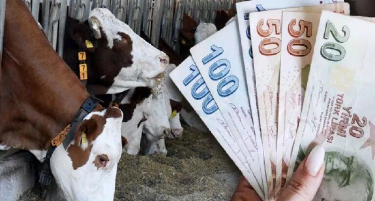 Hayvan başına 18 bin lira verilecek.