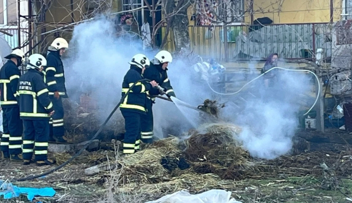 Hayvanların kışlık yiyeceği k&uuml;l oldu