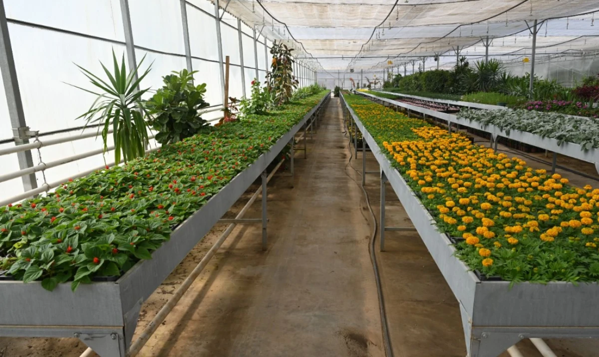 Isparta Belediyesi &uuml;retiyor, Isparta &ccedil;i&ccedil;eklerle g&uuml;zelleşiyor