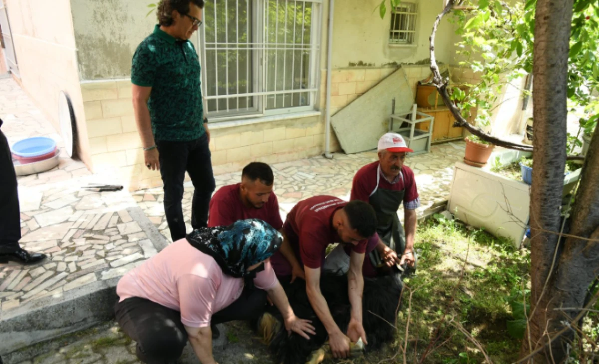 Isparta Belediyesi'nden Kurban Kesim Hizmeti