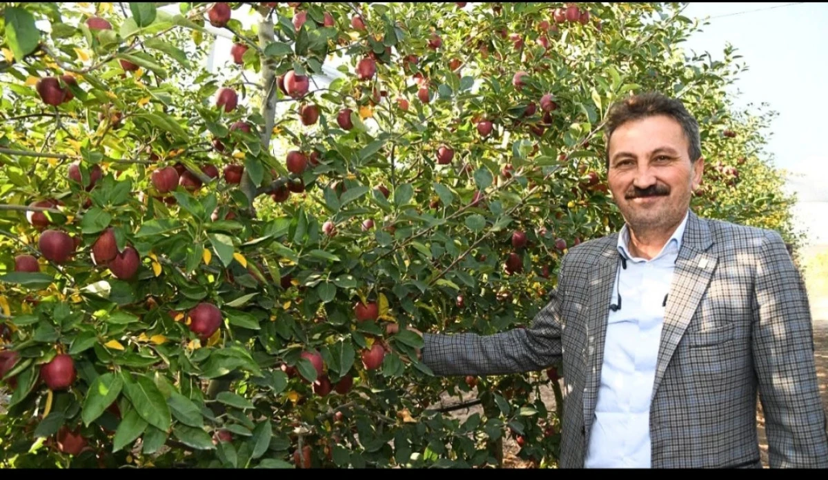 Isparta Elması Hakkındaki İddialara ITB&rsquo;den Yanıt