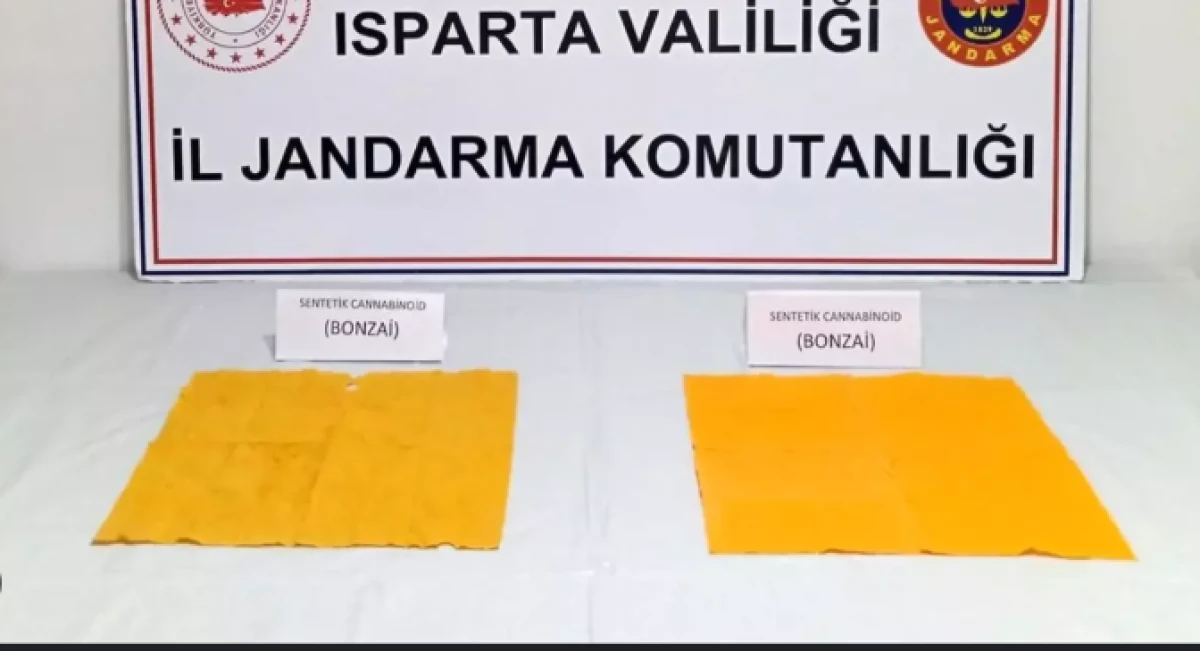 Isparta'da bonzai operasyonu: 3 şüpheli yakalandı