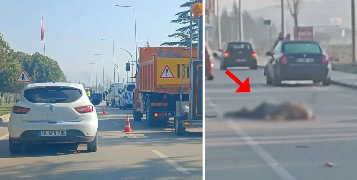 Isparta'da kazada 1 &ouml;l&uuml;