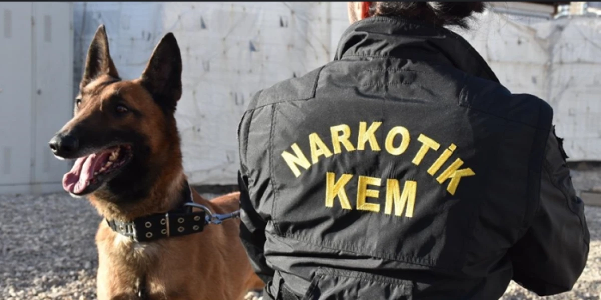 Isparta'da Narkotik Operasyon: Zehir Tacirleri Tutuklandı