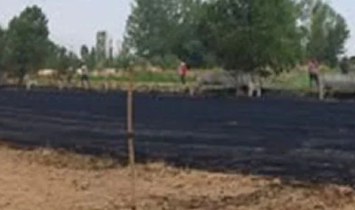 Isparta'da Trafo Patladı, Ekinler Kül Oldu
