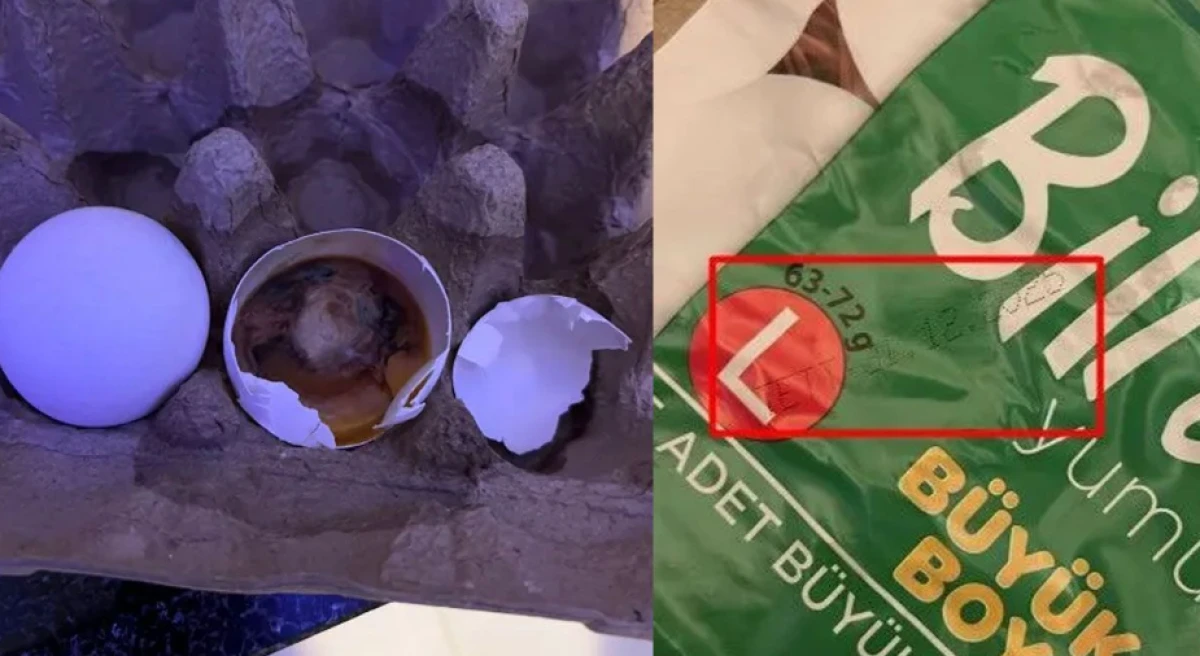 Isparta&rsquo;da Yeni Bir Skandal Daha!