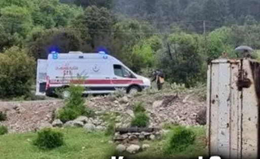 Kamyonet Şarampole Devrildi: 1 Ölü