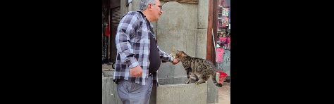 Karbuz Çeşmesinde bir vatandaş susayan kediye eliyle su içirdi