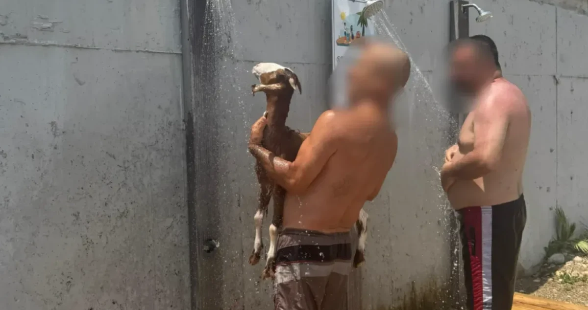 Keçisiyle Konyaaltı Sahili'nde Denize Girdi