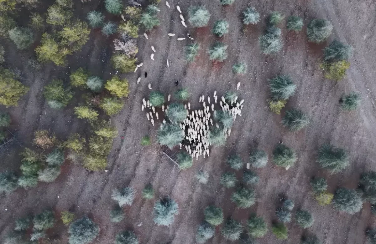 Keskin Belediyesi'ne soruşturma! Tam 1 milyon 220 bin metrekare: Kesinlikle affı yok