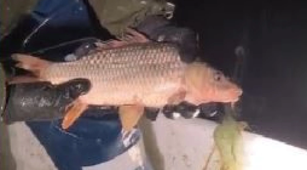 Kovada G&ouml;l&uuml;&rsquo;nde yasa dışı avcılığa ge&ccedil;İt yok