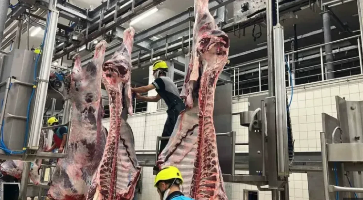 Kurban Bayramında Kayıt Dışı Tehlike
