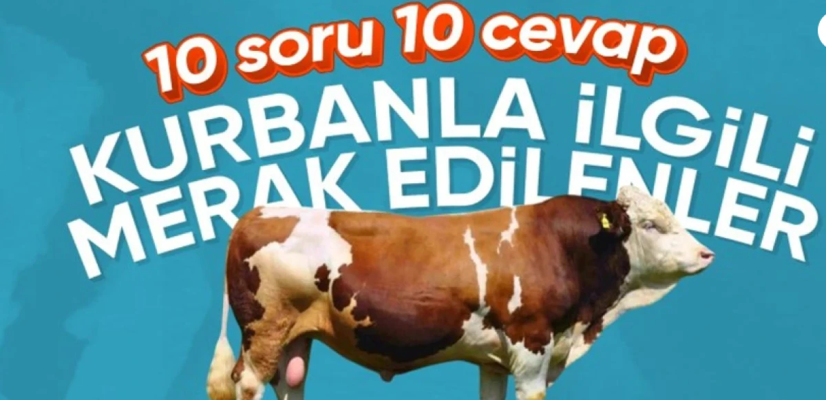 Kurban'la ilgili en merak edilen 10 soru