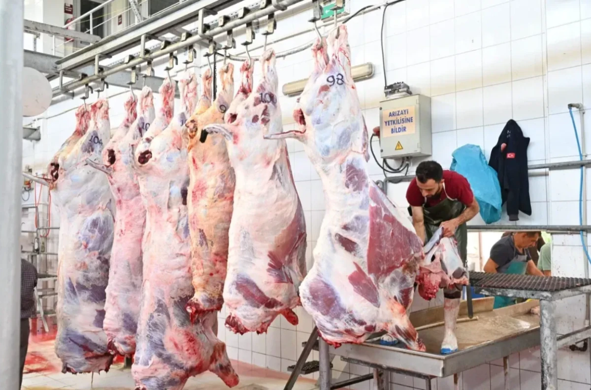 Mezbahada 250 büyükbaş kurban kesimi gerçekleştirildi
