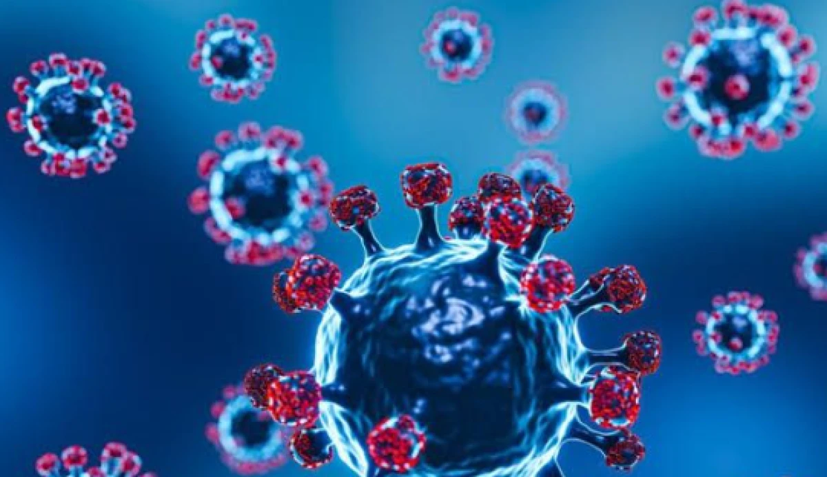 &Ouml;l&uuml;mc&uuml;l Vir&uuml;s T&uuml;rkiye'de G&ouml;r&uuml;ld&uuml;!