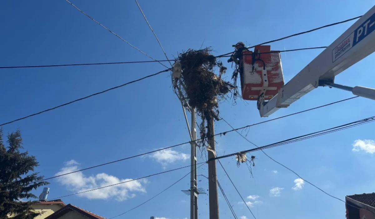 Onlar gelmeden yuvalara onarıldı