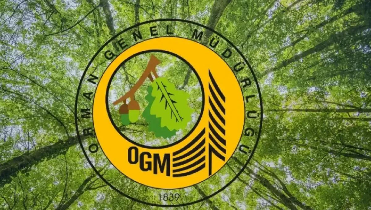 Orman İşletmeye 46 işçi alınacak 