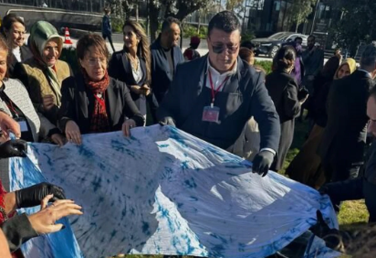 Rota: Anadolu K&ouml;k Boya Atlası