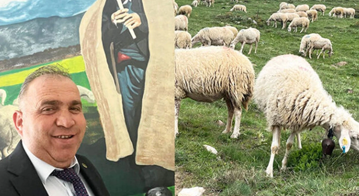 Sarıdaş: &ldquo;Bakanlık desteğiyle Afgan &ccedil;obanlar geliyor&rdquo;