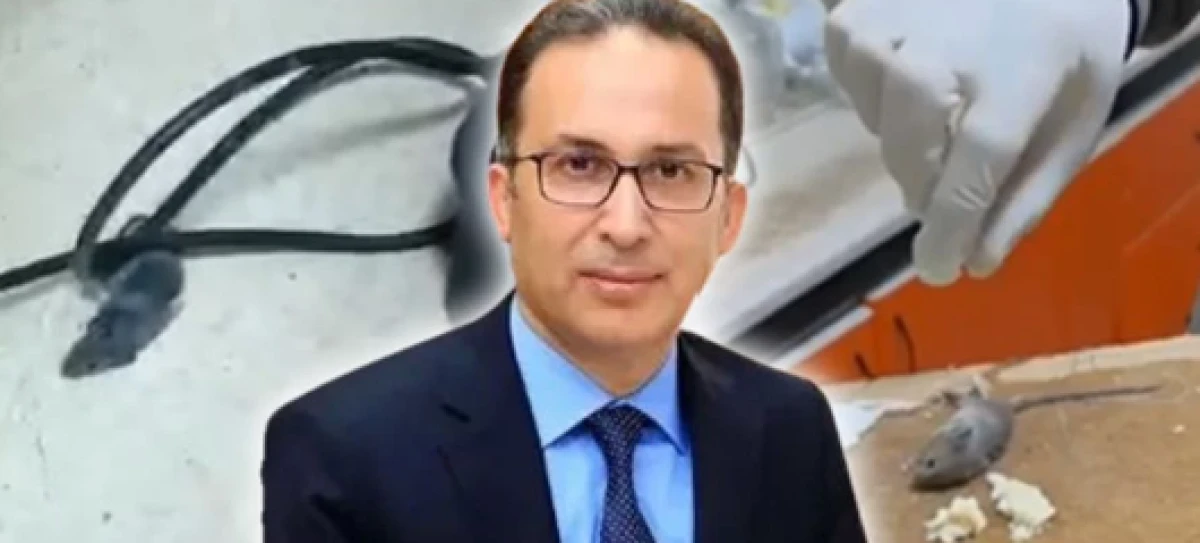 SDÜ Hastanesinde Fare Skandalı! İşte O Şok Görüntüler