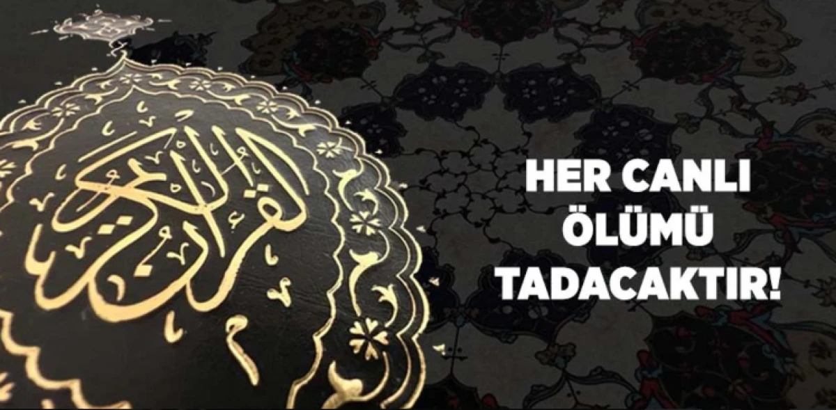 SELEK KARDEŞLERİN  ACI GÜNÜ