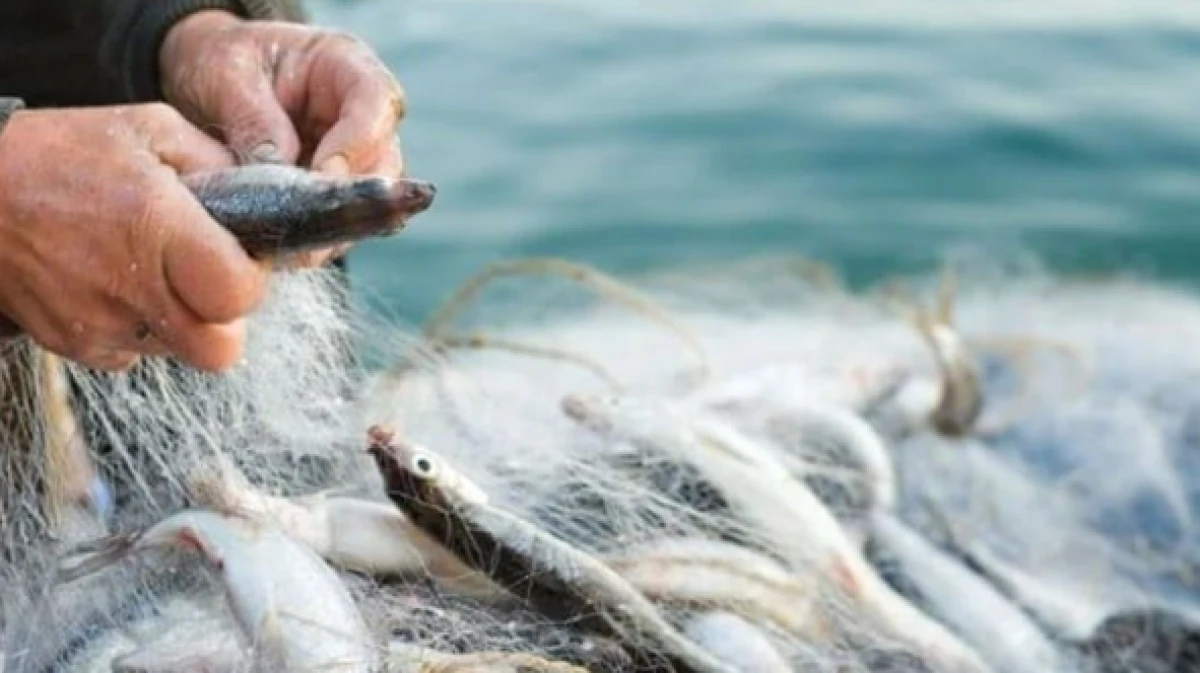 Su &uuml;r&uuml;nleri av yasağı başladı