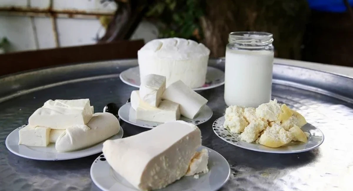 Tarım bakanlığı: Beş yoğurt ve peynirde taklit-tağşiş