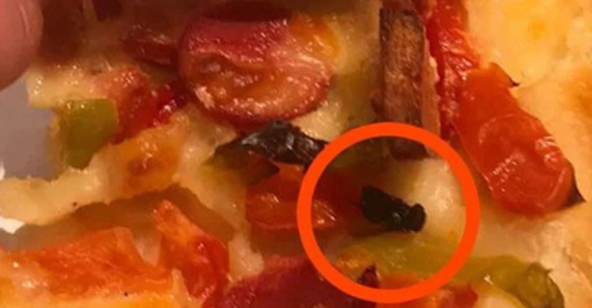 Taş fırından aldığı pizzada mide bulandıran görüntü!