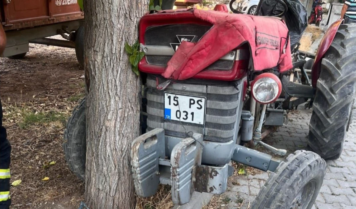 Traktör ağaca çarptı Sürücü yaşamını yitirdi