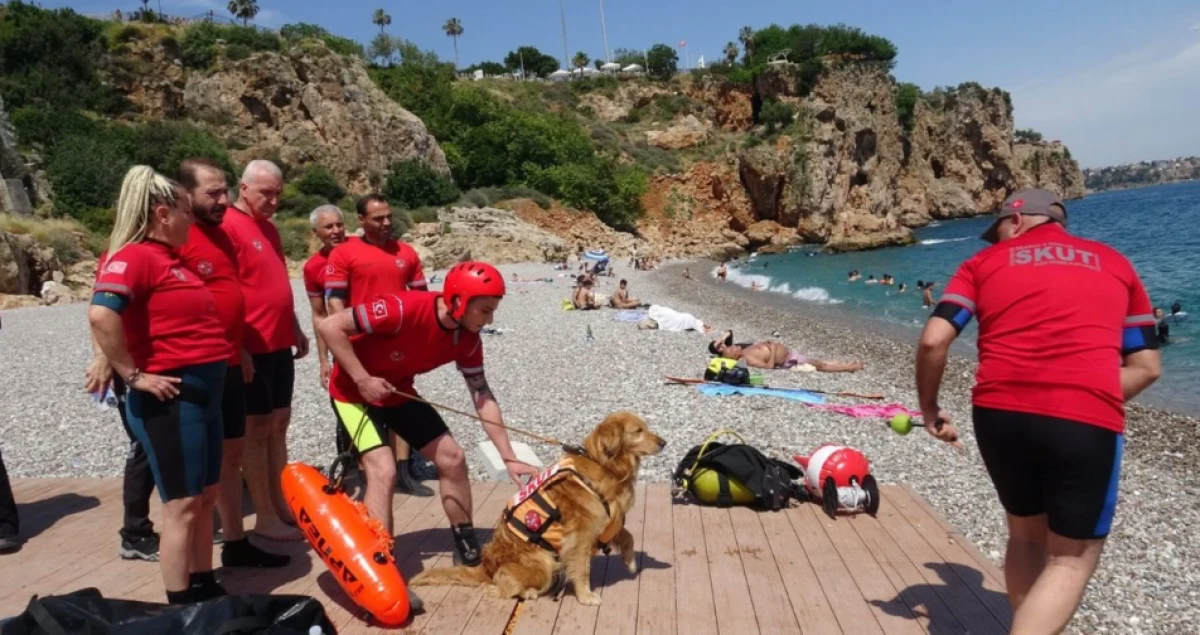 Türkiye’nin ilk köpeği! Antalya’nın Zeyna’sı gün sayıyor