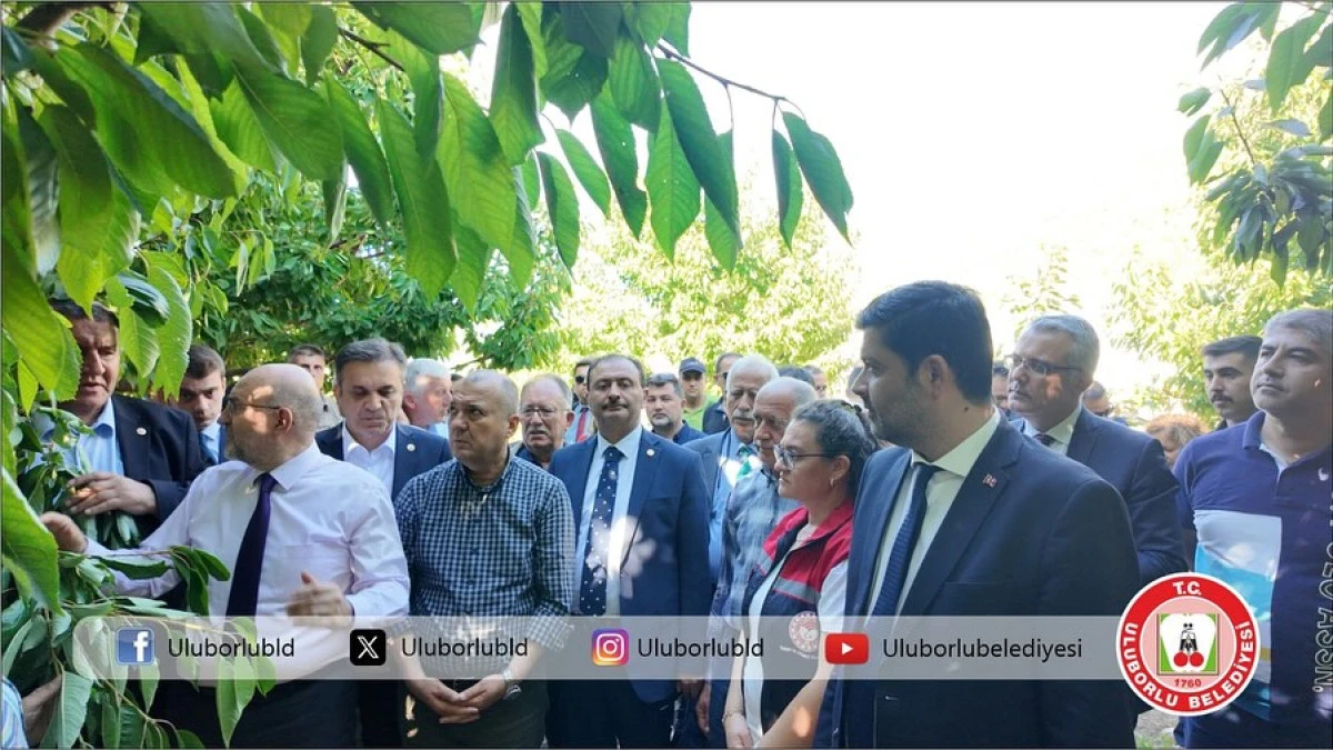 Uluborlu’da Zirai Don Zararına Yakın Takip