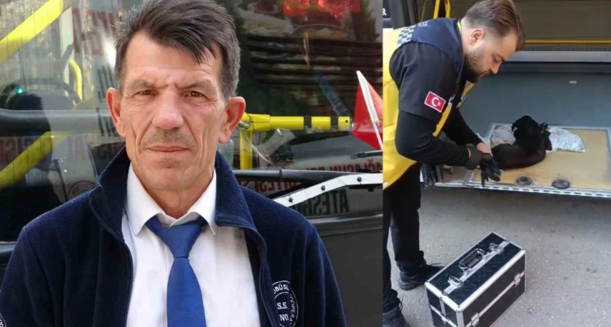 Yaralı köpeği kurtarmak için seferini yarıda bırakan halk otobüsü şoföründen insanlık dersi