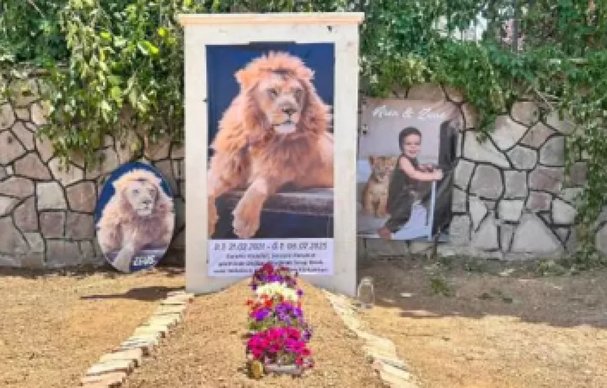 Zeus İçin Temsili Mezar